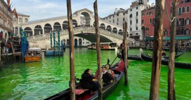 Acque colorate di verde: l’ennesima offensiva gretina da Venezia a Roma