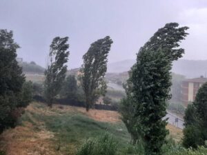Solsitizio molto ventoso, poi caldo anomalo fino a Santo Stefano