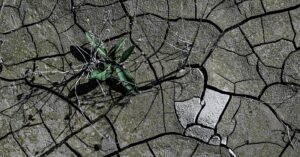 Clima, 2023 anno più caldo di sempre. Ma nel 2024 potrebbe andare peggio