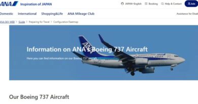 Crepa su un finestrino della cabina di pilotaggio: un Boeing della All Nippon Airway costretto a tornare all’aeroporto di partenza