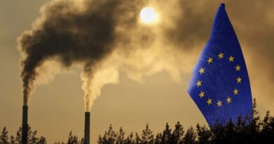 L’Unione Europea dichiara guerra al greenwashing: la rimozione della CO2 dall’atmosfera dovrà essere certificata