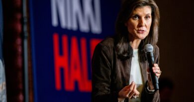 Nikki Haley dice che gli embrioni “sono bambini” perché, sorpresa, in realtà non è una moderata