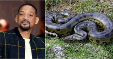 Will Smith scopre la “doppia” anaconda gigante: la clamorosa rivelazione mentre girava un documentario del National Geographic
