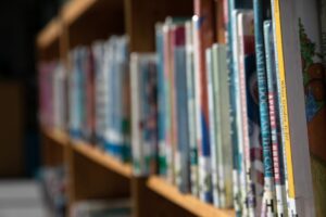 17 Stati stanno prendendo in considerazione leggi che imprigionerebbero i bibliotecari