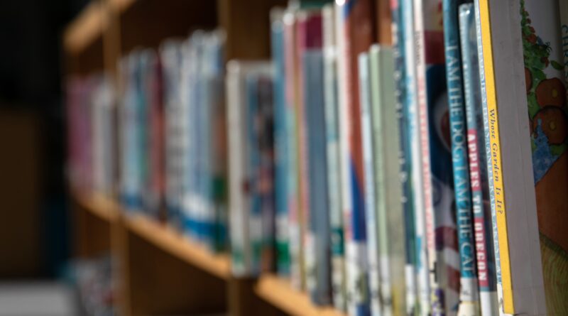 17 Stati stanno prendendo in considerazione leggi che imprigionerebbero i bibliotecari