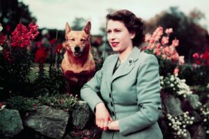 La Famiglia Reale celebra il compleanno della Regina Elisabetta II con alcune fotografie