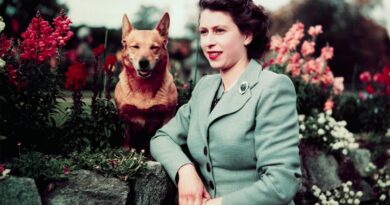 La Famiglia Reale celebra il compleanno della Regina Elisabetta II con alcune fotografie
