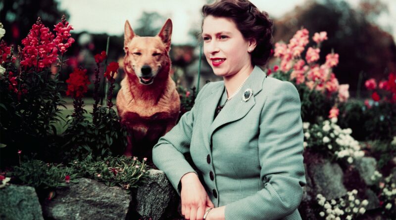 La Famiglia Reale celebra il compleanno della Regina Elisabetta II con alcune fotografie