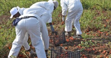 Caporalato in agricoltura, 10 arresti in Toscana