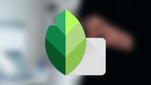 Incredibilmente Google aggiorna Snapseed: ma le novità latitano