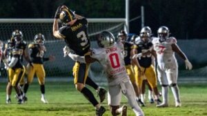 Giaguari Torino sabato ad Ancona per affrontare i Dolphins