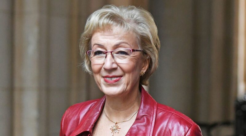 Il ministro ha chiesto se può presentare una lettera di sfiducia dopo che il premier ha annunciato le elezioni