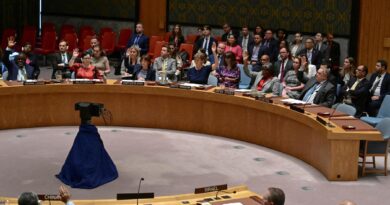 Guerra Israele-Hamas, le notizie di oggi. Hamas accoglie “con favore” il voto Onu