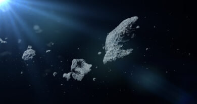 E’ l’Asteroid Day, la giornata per la sorveglianza degli asteroidi VIDEO
