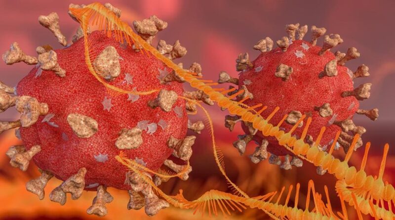 Coronavirus, casi in crescita del 62,5% nell’ultima settimana
