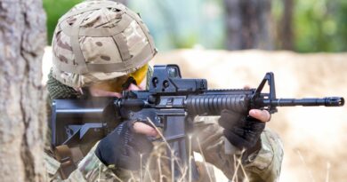 I problemi delle forze armate britanniche “sono molto più gravi di quanto si pensasse”, afferma il nuovo segretario alla Difesa