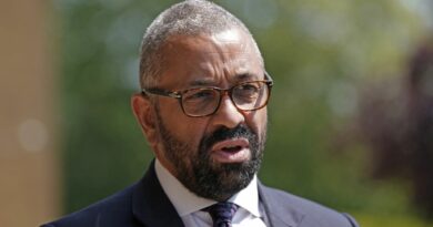 Il primo Tory annuncia la sua candidatura a prossimo leader del partito