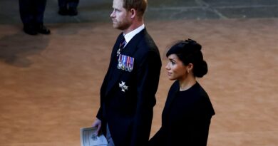Il principe Harry dice che Meghan Markle non è al sicuro nel Regno Unito: “Basta un attore solitario”