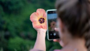 Un altro mattoncino per Google Lens: arriva la ricerca con i video