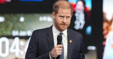 Il principe Harry dice che lo smartphone “ruba l’infanzia ai giovani”