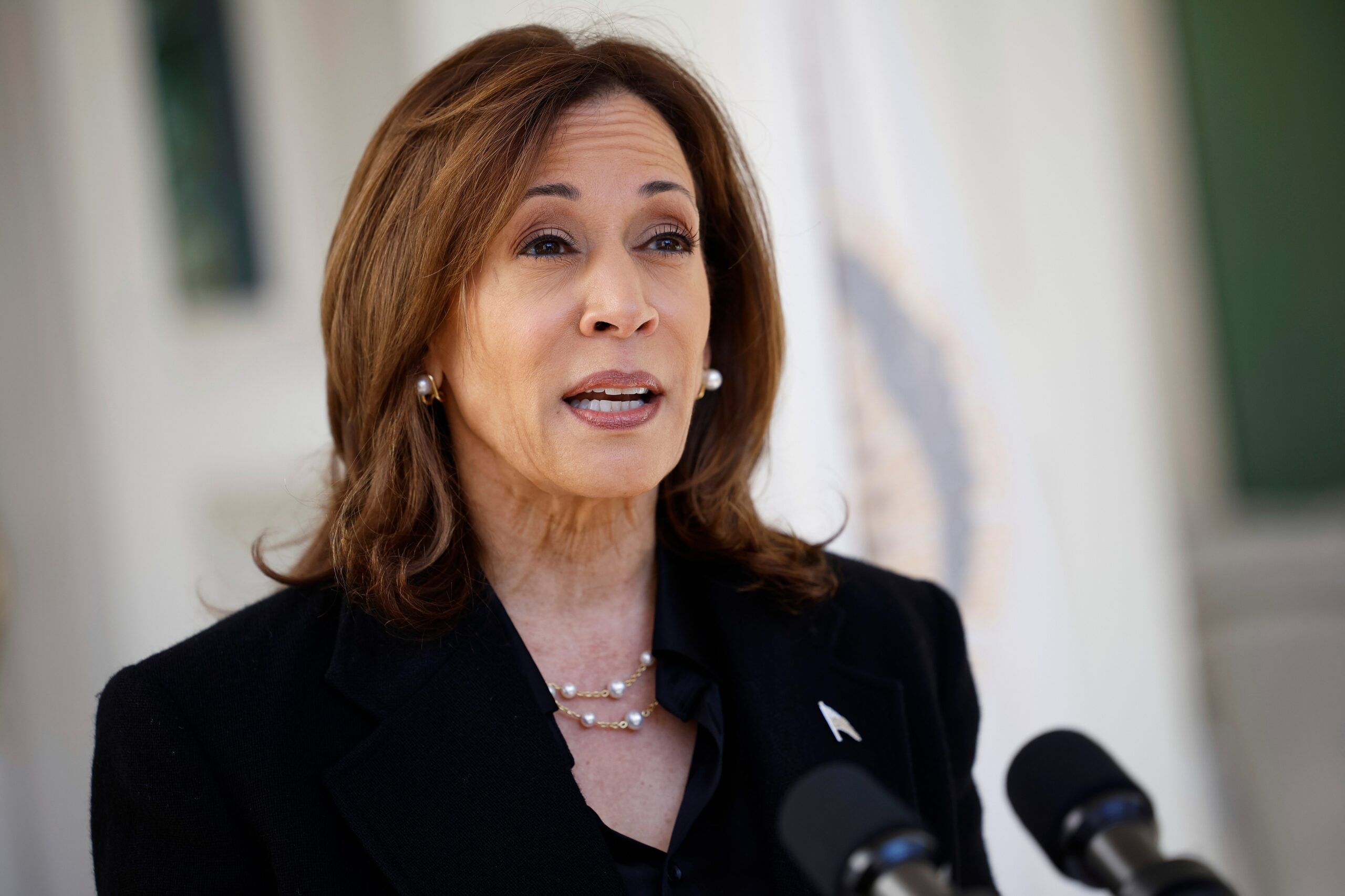 Kamala Harris chiede agli americani: Avete davvero intenzione di eleggere un uomo che ha buone cose da dire su Hitler?