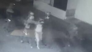 Israele dichiara di aver catturato un alto funzionario di Hezbollah in un raid nel nord del Libano