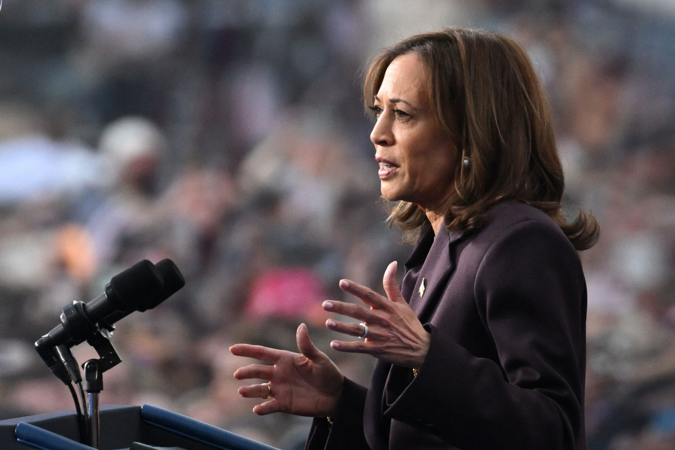 Kamala Harris: “A volte la lotta richiede un po’ di tempo, ma questo non significa che non vinceremo”