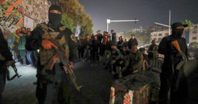 I lealisti di Assad uccidono 14 forze di sicurezza siriane in un’imboscata