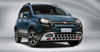 Altro che Tesla: le auto più vendute in Italia sono Panda e Dacia, e non certo elettriche!