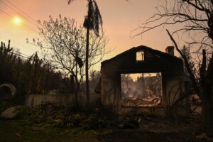 Come gli incendi di Los Angeles hanno influenzato il mondo dell’arte