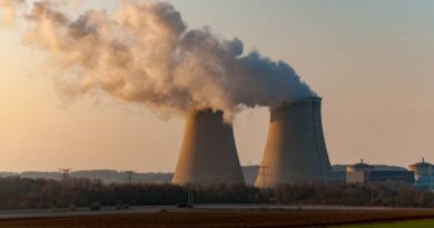 Confindustria spinge il nucleare: “Chi lo adotta ha prezzi dell’energia più bassi”