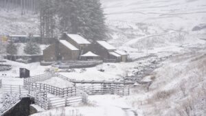 allarme “alta scandinava” mentre la neve colpisce parti del Regno Unito e le temperature scendono a -6°C
