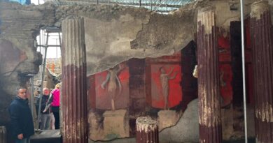 Dioniso in corteo, così Pompei stupisce ancora