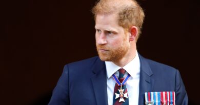 Una fonte vicina al principe Harry ritiene che i nuovi documenti respingano “inequivocabilmente” le accuse sul visto