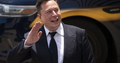 Elon Musk si è “ritorto finanziariamente” contro il 13° figlio, sostiene Ashley St. Clair