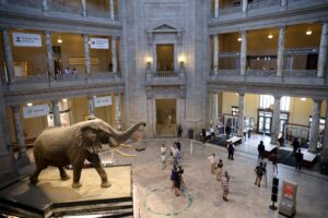 Trump prende di mira lo Smithsonian: Cosa significa il suo divieto di “ideologia impropria”