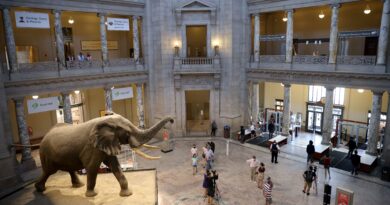 Trump prende di mira lo Smithsonian: Cosa significa il suo divieto di “ideologia impropria”