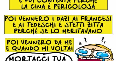 I dazi dell’amico Trump
