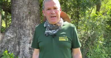 VIDEO: Fausto Biloslavo raggiunge l’albero sotto cui riposa Almerigo Grilz