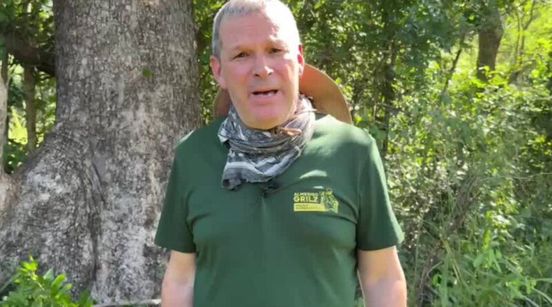 VIDEO: Fausto Biloslavo raggiunge l’albero sotto cui riposa Almerigo Grilz