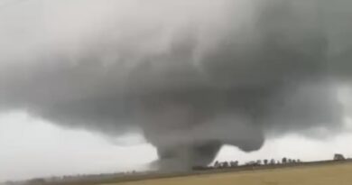 Un potente tornado colpisce la città di Lake City, nell’Arkansas: case distrutte e alberi divelti. Le immagini