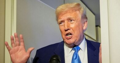 I mercati azionari asiatici crollano quando Trump definisce i dazi una “medicina”