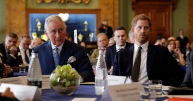 La relazione tra il principe Harry e re Carlo è ancora “distante”, dice una fonte