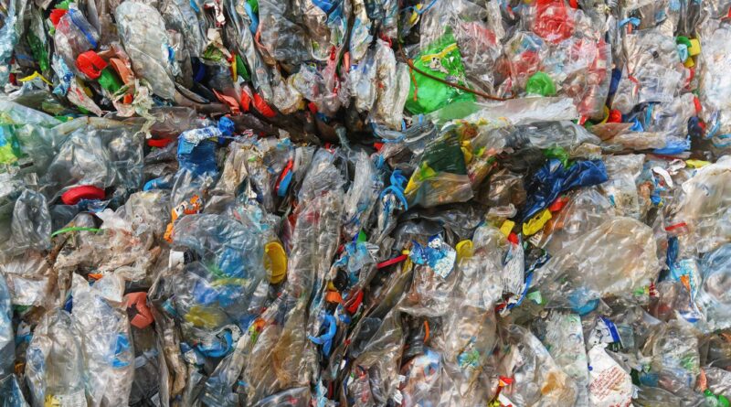 Plastic free, la due giorni all’insegna dell’ambiente in 222 località italiane