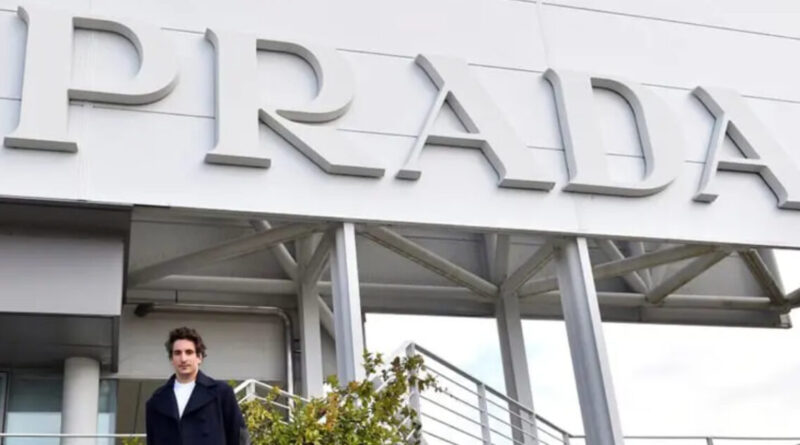 Nel settore della moda c’è chi ci rimette la pelle: una proposta per la signora Prada