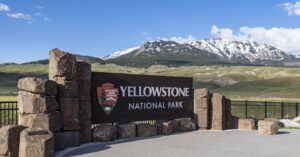 Usa, incidente vicino Yellowstone: tra le vittime una donna italiana