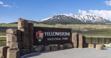 Usa, incidente vicino Yellowstone: tra le vittime una donna italiana