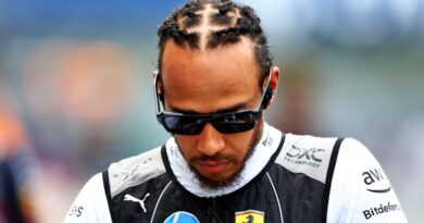 Hamilton-Ferrari, bufera radio: &quot