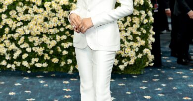 Met Gala 2025: i look del tappeto rosso: Scopri tutti gli abiti e i vestiti delle celebrità