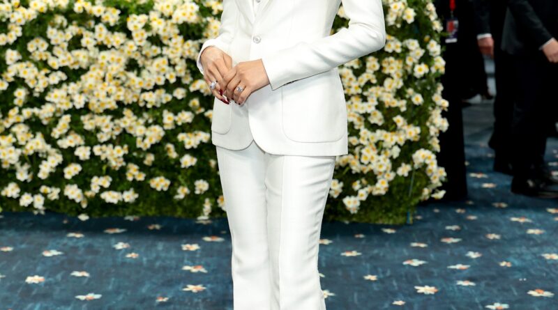 Met Gala 2025: i look del tappeto rosso: Scopri tutti gli abiti e i vestiti delle celebrità